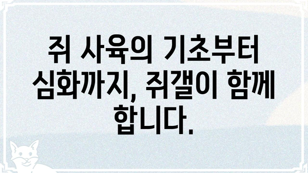 쥐갤 완벽 가이드| 쥐 정보부터 커뮤니티 활동까지 | 쥐, 쥐 사육, 쥐 정보, 쥐갤 커뮤니티, 쥐 키우기
