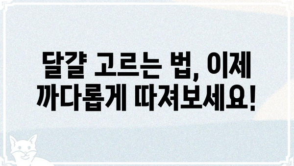 생활의 달인이 찾아낸 명품 달걀, 그 비밀을 밝히다 | 달걀 고르는 법, 달걀 요리 레시피, 명품 달걀 맛집