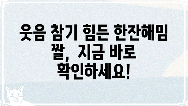한잔해밈 짤 모음 | 웃긴짤, 술자리, 밈, 유머