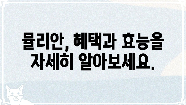 뮬리안| 당신의 삶을 바꿀 놀라운 7가지 이유 | 뮬리안, 혜택, 효능, 사용법, 경험