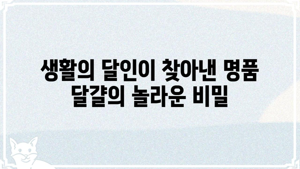 생활의 달인이 찾아낸 명품 달걀, 그 비밀을 밝히다 | 달걀 고르는 법, 달걀 요리 레시피, 명품 달걀 맛집