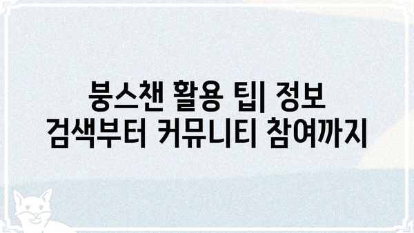 붕스챈| 궁금증 해결! 핵심 정보 총정리 | 붕스챈, 정보, 가이드, 궁금증, 해결, 정리