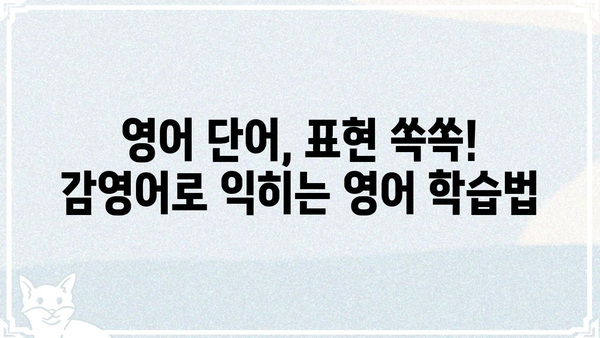 감영어로 배우는 영어 회화| 초급부터 중급까지 | 영어 회화, 영어 학습, 영어 표현, 영어 단어