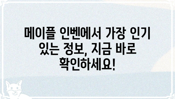 메이플스토리 인벤| 유저들이 가장 많이 찾는 정보는? | 메이플 인벤, 인기 정보, 유저 분석, 팁