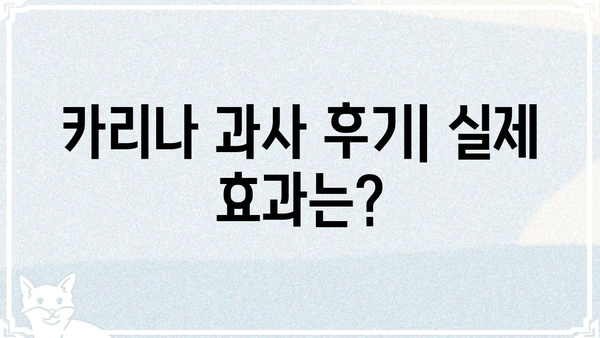 카리나 과사| 솔직한 후기와 꿀팁 대방출 | 카리나, 과사, 솔직후기, 꿀팁, 솔루션