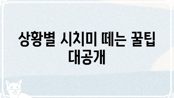 시치미 떼는 법| 상황별 꿀팁 & 주의사항 | 시치미, 떼는 법, 상황별, 꿀팁, 주의사항