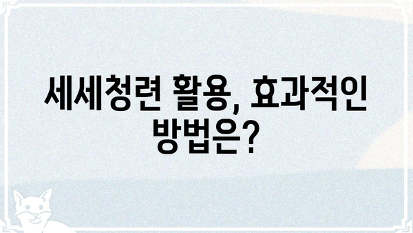 세세청련| 깊이 있는 이해와 실용적인 활용 가이드 |  세세청련, 활용법, 효과, 사례, 정보