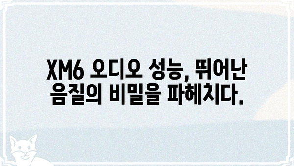XM6 오디오 품질의 모든 것 | XM6, 오디오 성능, 사운드, 리뷰, 비교