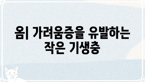 옴전염 예방과 관리| 증상, 원인, 치료법 | 옴, 기생충, 피부 질환, 전염병