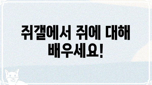 쥐갤 완벽 가이드| 쥐 정보부터 커뮤니티 활동까지 | 쥐, 쥐 사육, 쥐 정보, 쥐갤 커뮤니티, 쥐 키우기