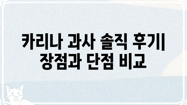 카리나 과사| 솔직한 후기와 꿀팁 대방출 | 카리나, 과사, 솔직후기, 꿀팁, 솔루션