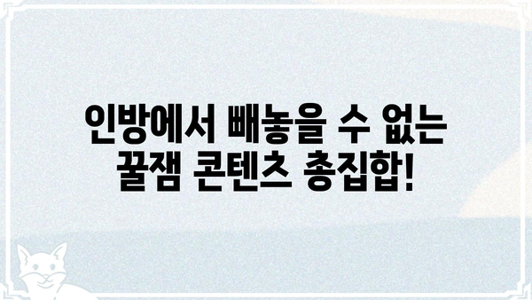 인방갤 핵심 정보 총정리| 인기 스트리머, 핫한 콘텐츠, 커뮤니티 가이드 | 인방, 스트리밍, 커뮤니티, 정보