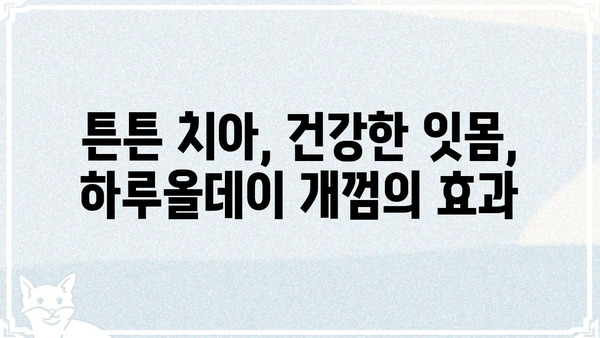 하루종일 씹는 재미! 하루올데이 개껌 추천 가이드 | 강아지 간식, 장시간 씹는 개껌, 지속적인 즐거움